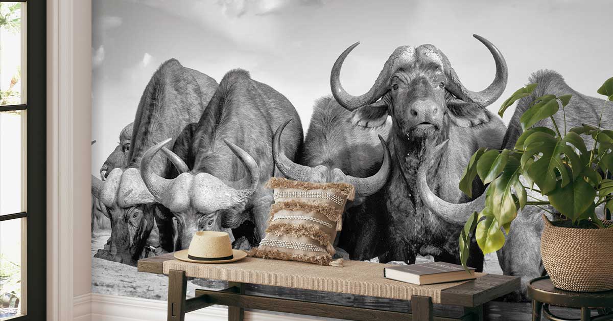 Carta da parati con bufali