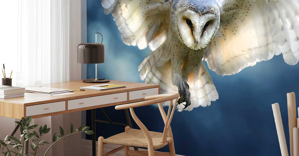 Carta da parati con gufi