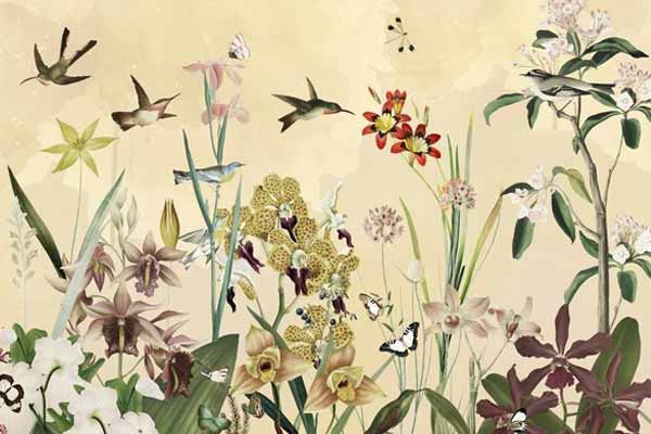 Collezione di Carta da Parati Imary