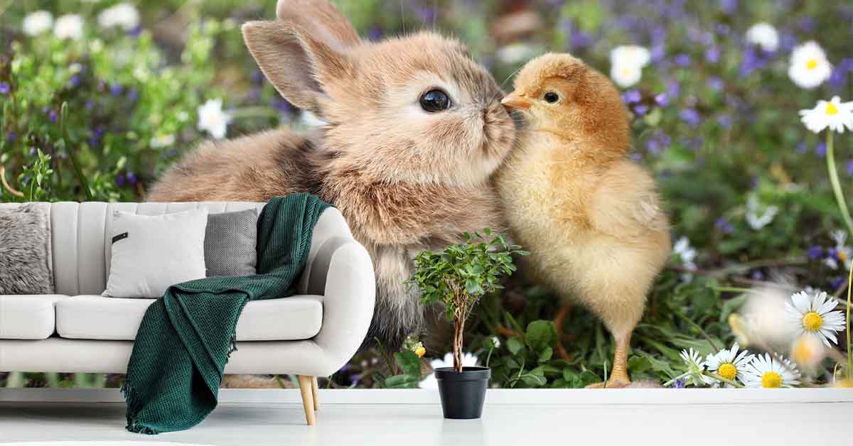Carta da parati fotografica con conigli