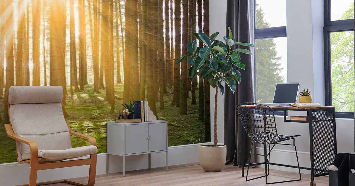 Carta da parati fotografica con alba e tramonto