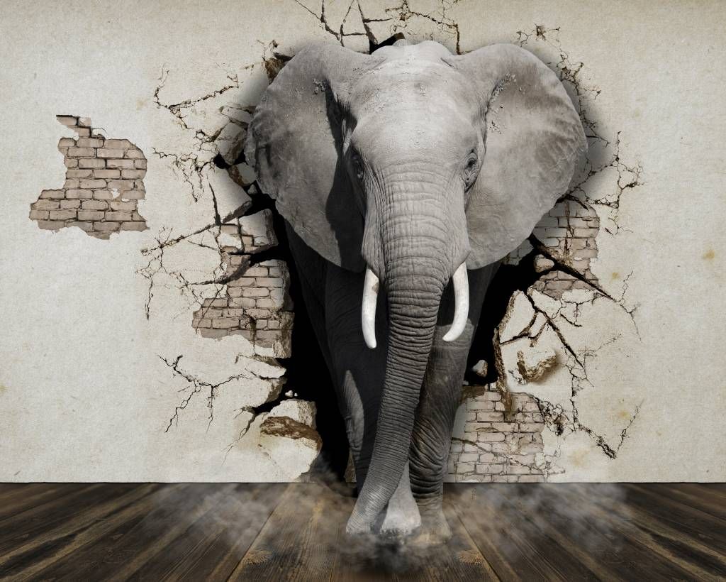 Elefante 3D dal muro