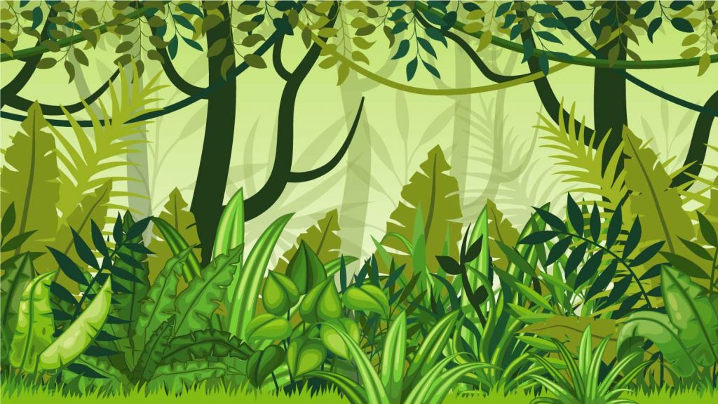 Illustrazione della giungla