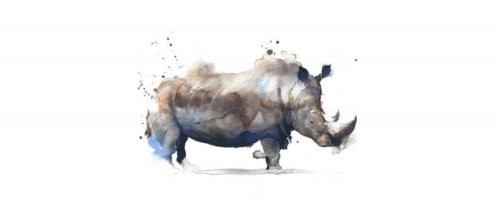 Rinoceronte in acquerello