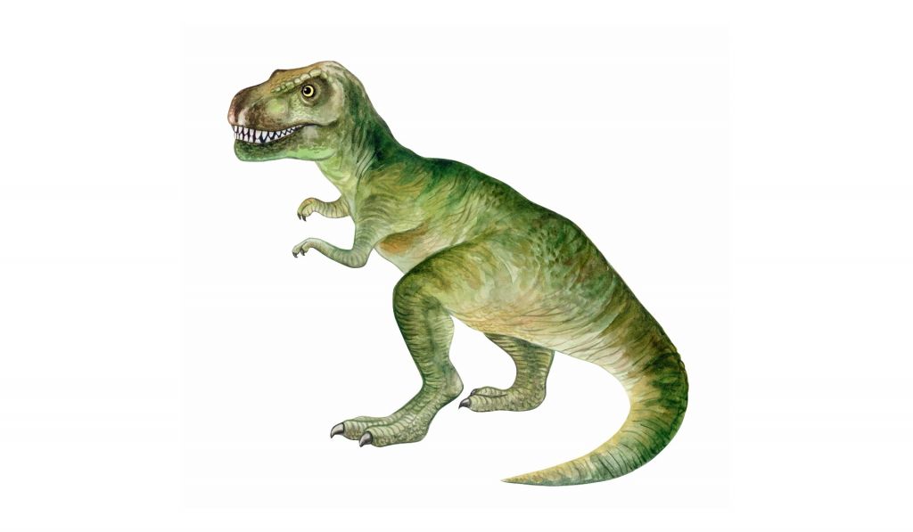 Tyrannosaurus di acquerello