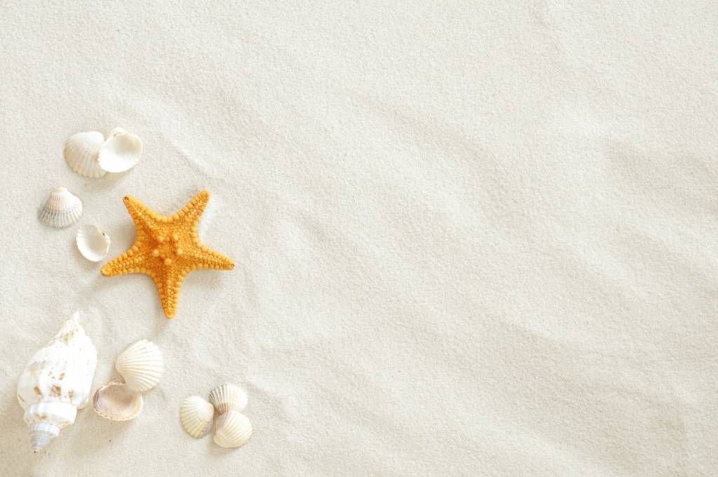 Stella marina su sabbia bianca