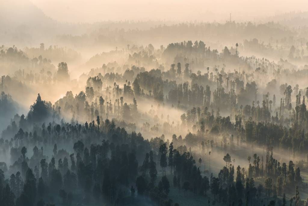 Montagne nebbiose in Indonesia