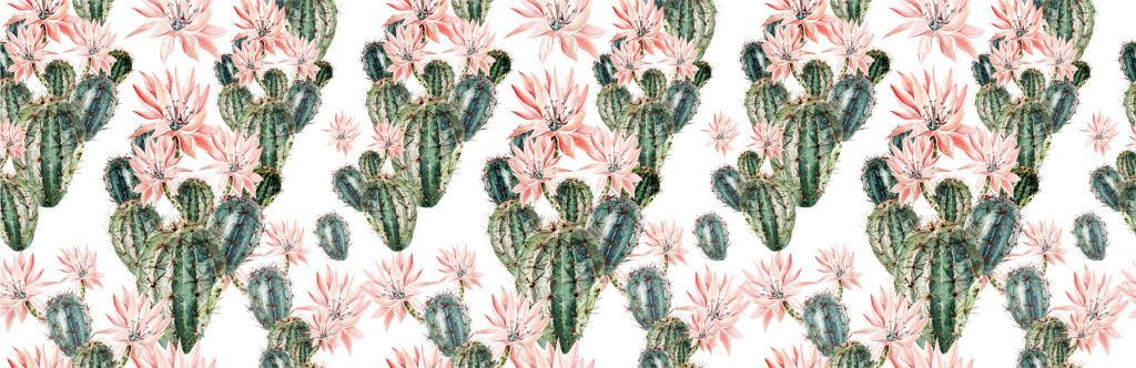 Cactus con fiori