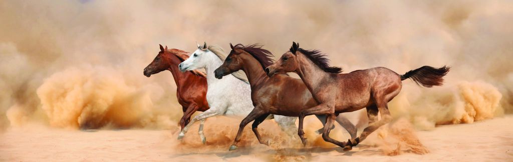 Cavalli al galoppo in una tempesta di sabbia