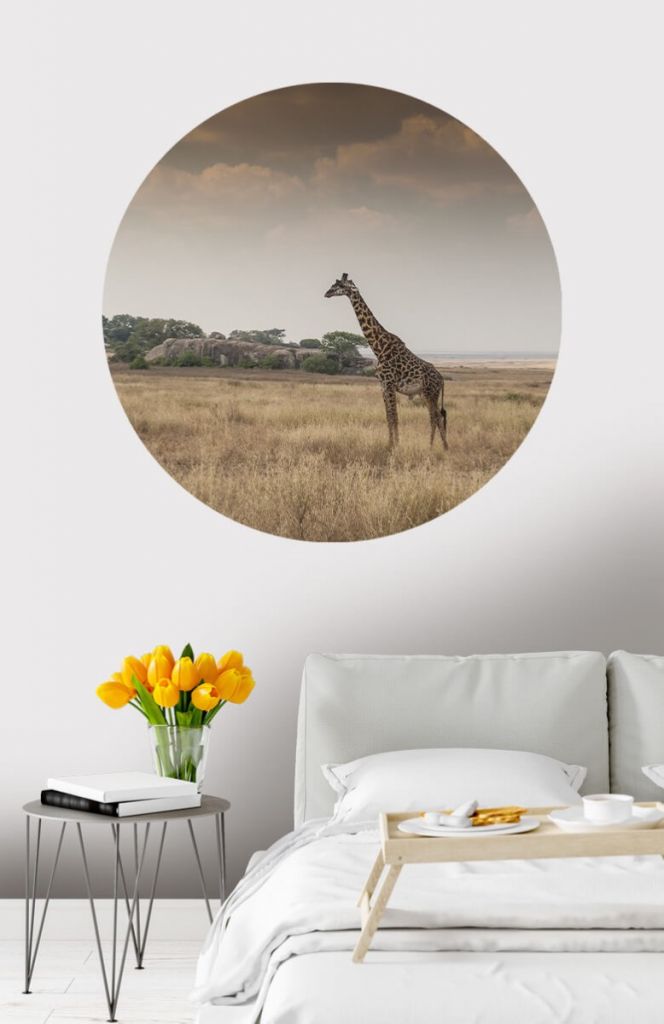Giraffe carta da parati cerchio sulla savana