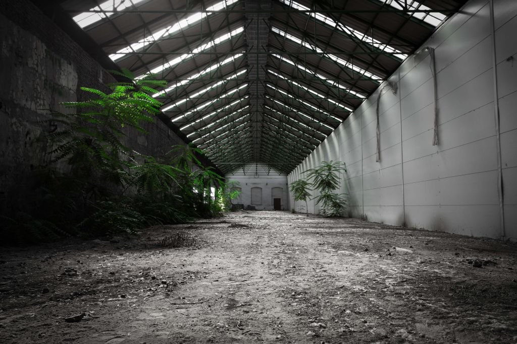 Sala industriale con piante