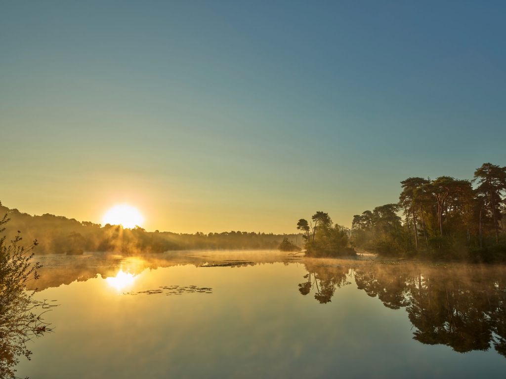 L'alba al lago forestale