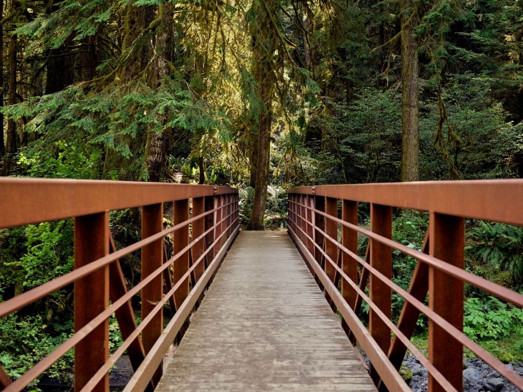 Ponte arrugginito nella foresta 