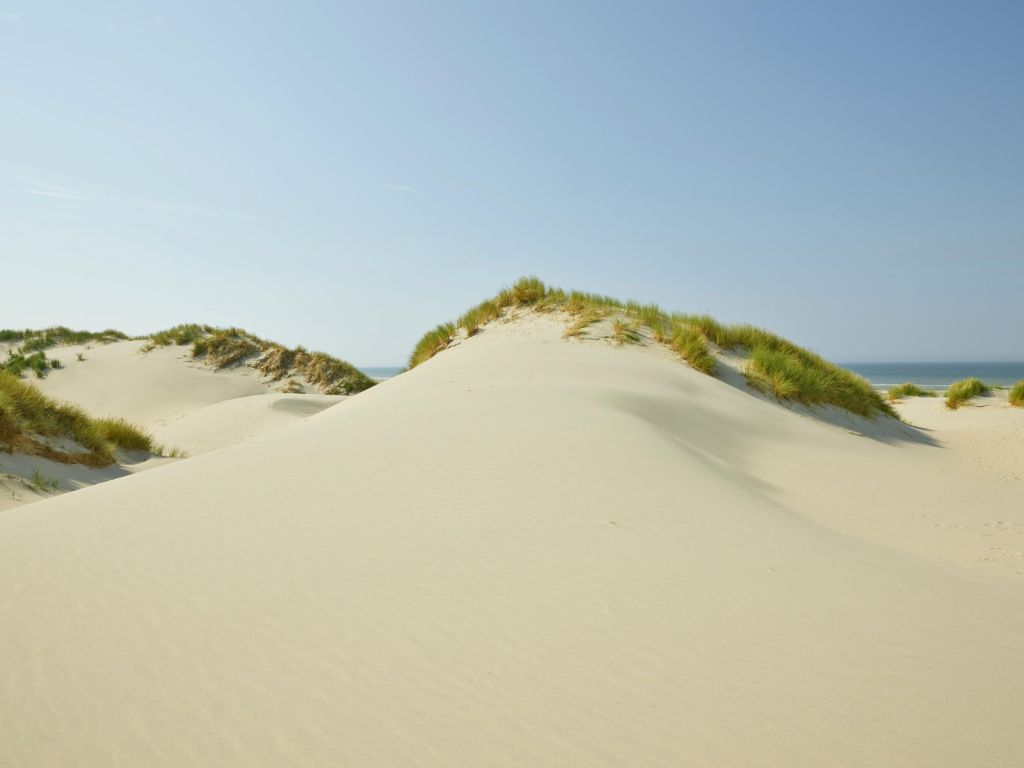 Dune sulla spiaggia