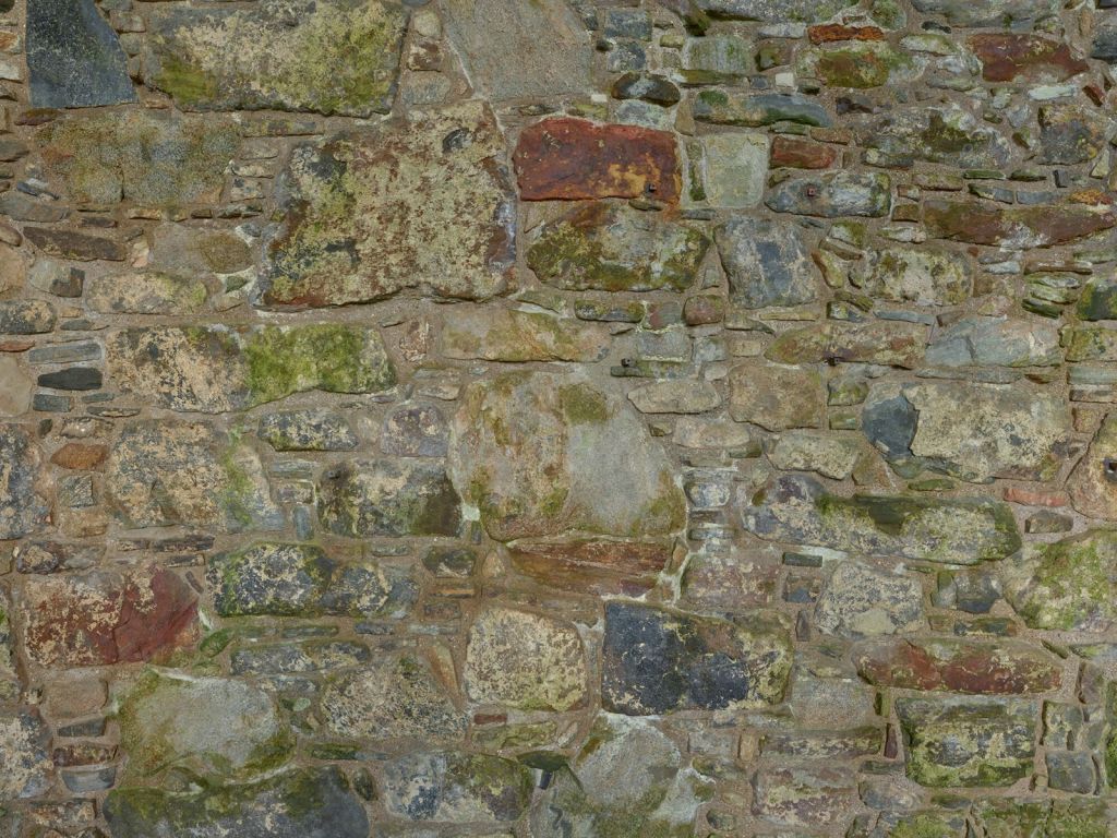 Vecchio muro con muschio
