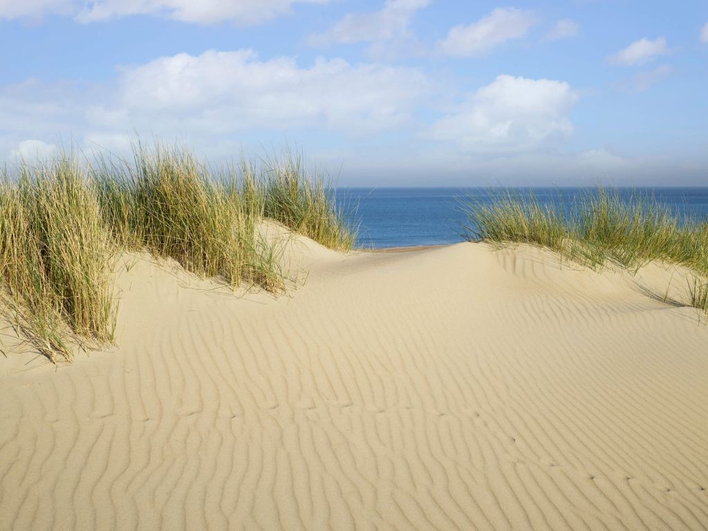 Passaggio della duna verso la spiaggia