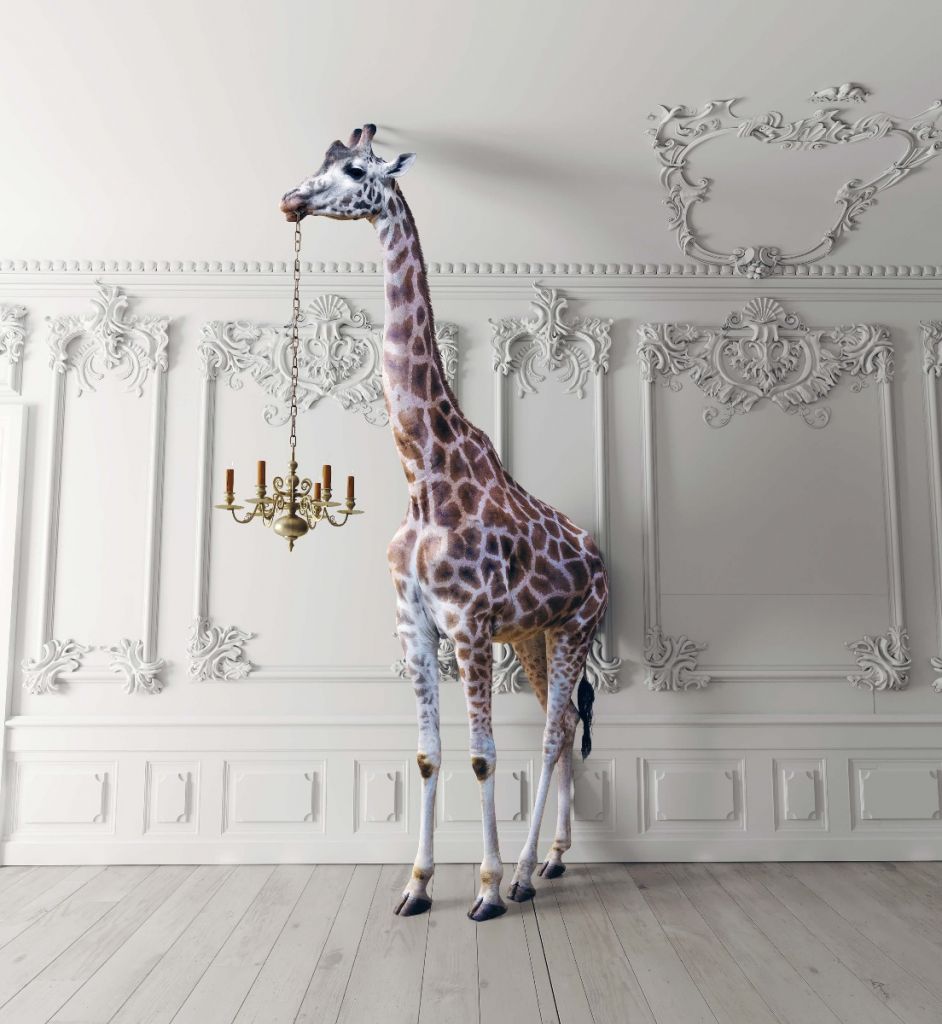 Giraffa con candeliere