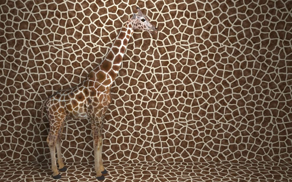 Giraffa mimetizzata