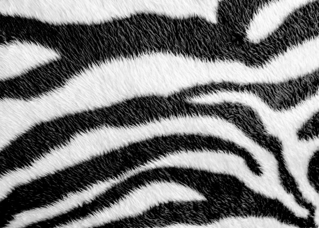 Cappotto zebrato ravvicinato