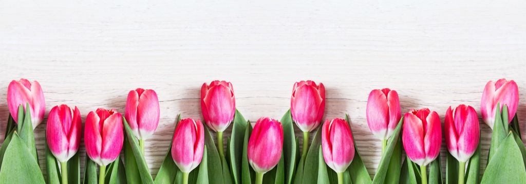 Tulipani rosa su legno