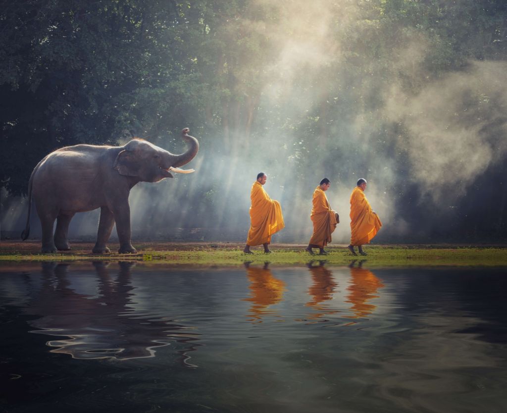 Elefante e buddisti