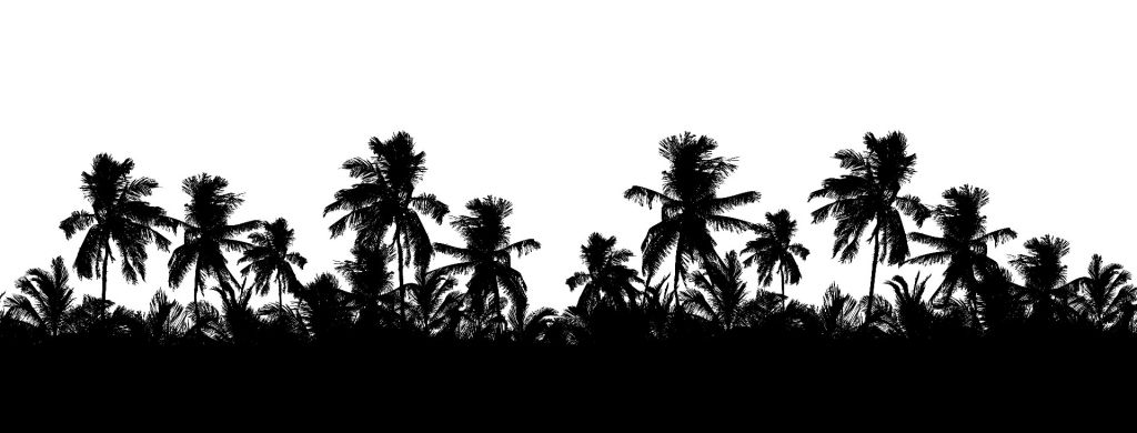 Silhouette di palme