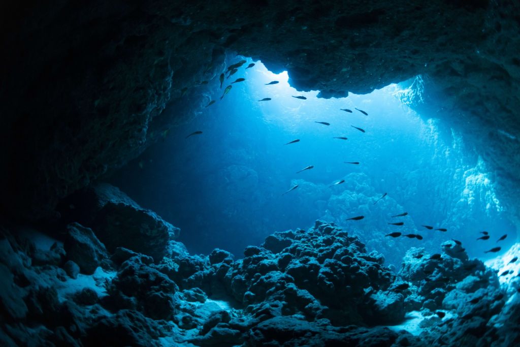 Grotta sottomarina con pesci