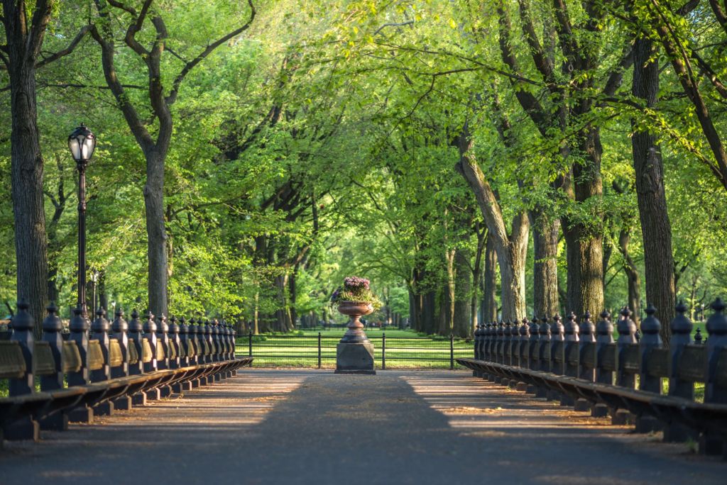 Sentiero a Central Park