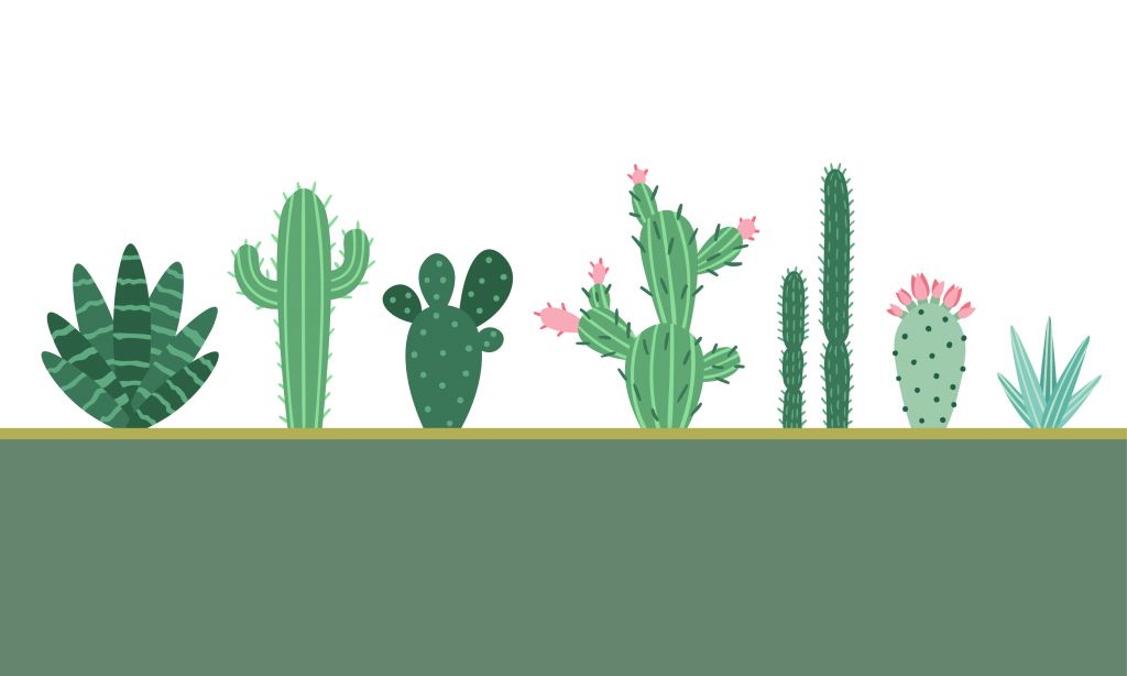 Area verde con cactus