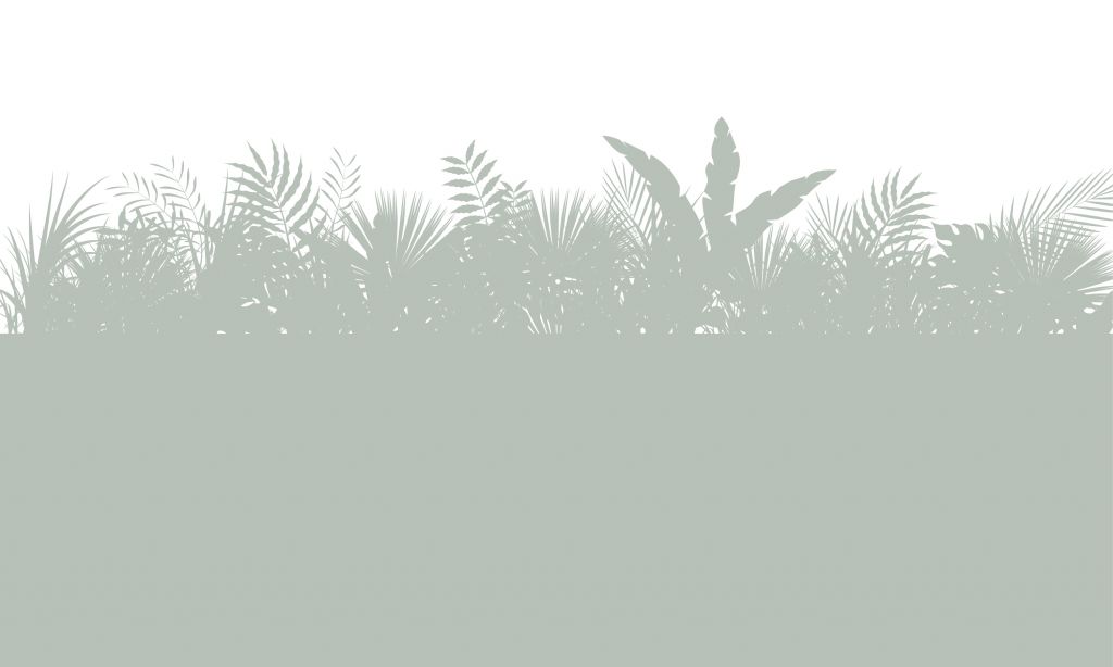 Sagome di foglie di palma, verde chiaro