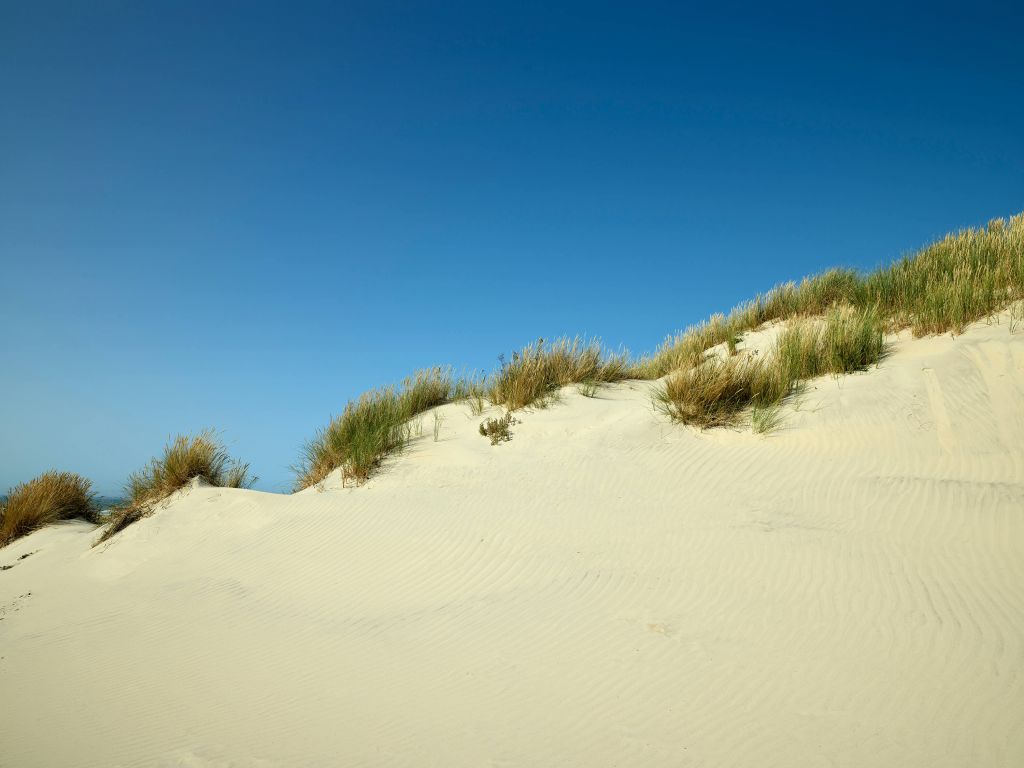 Dune con cielo blu