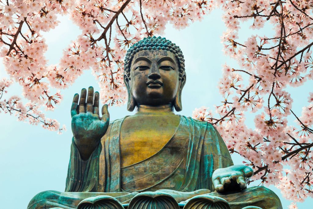 Buddha circondato da fiori di ciliegio