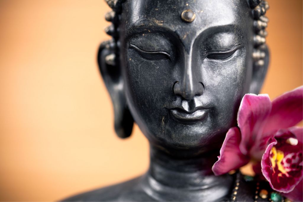 Buddha e orchidea rosa