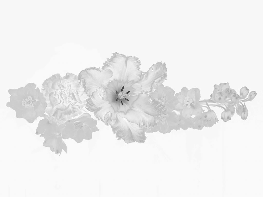 Bouquet floreale in bianco e nero