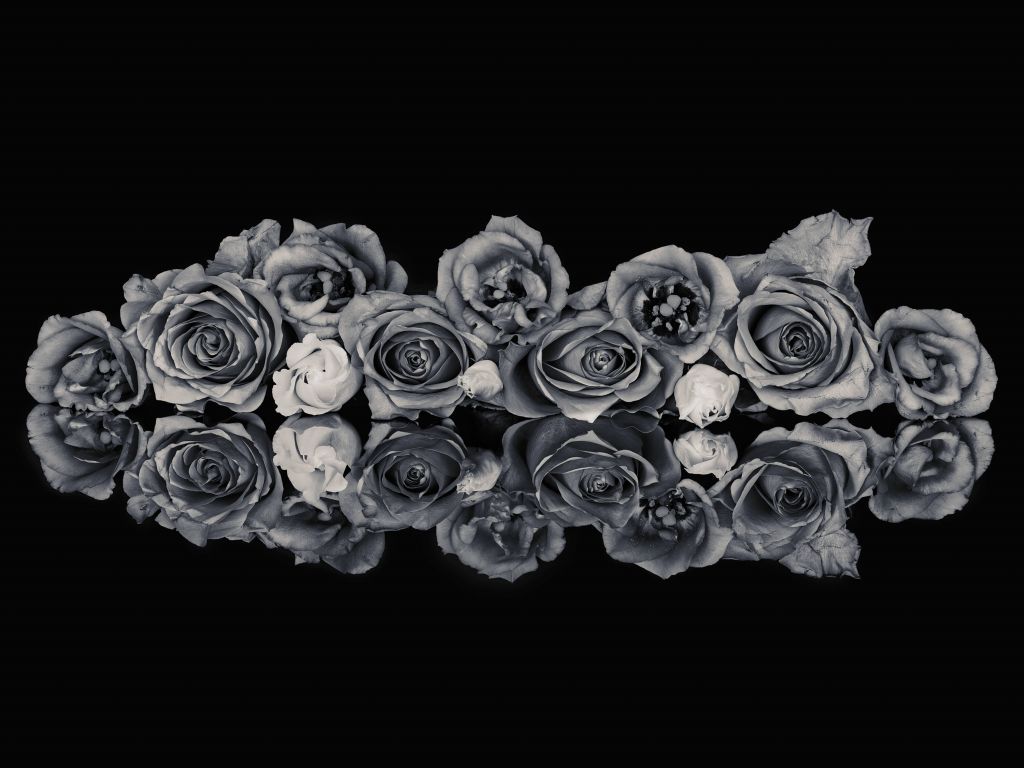 Bouquet di rose in bianco e nero