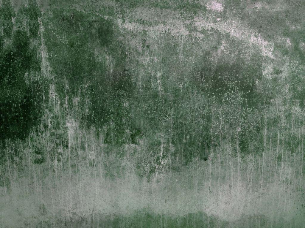 Vecchia parete verde alle intemperie