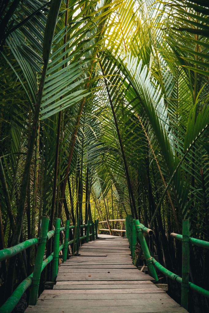 Ponte di bambù