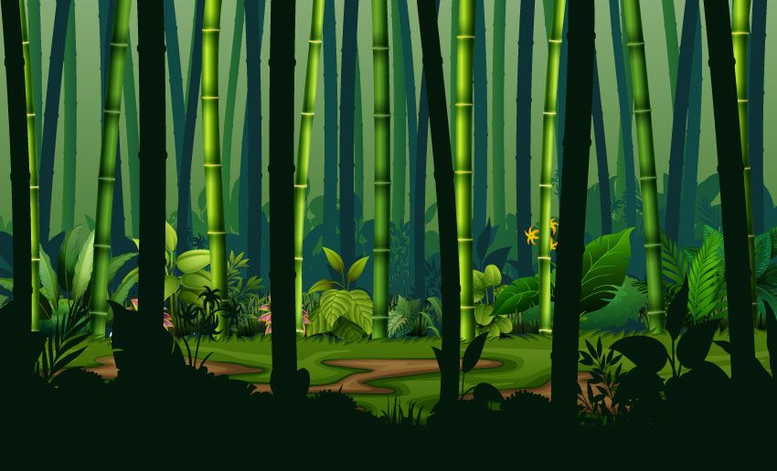 Giungla con alberi di bambù