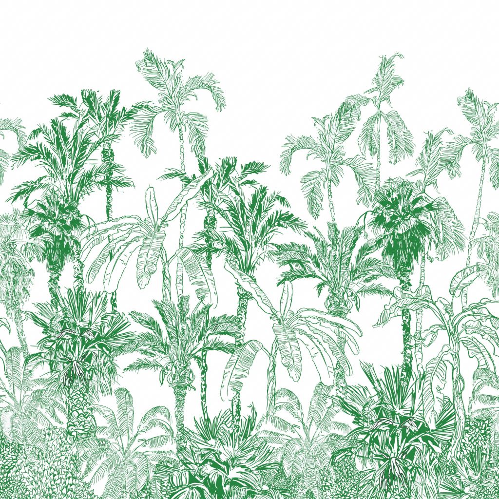 Illustrazione della giungla verde