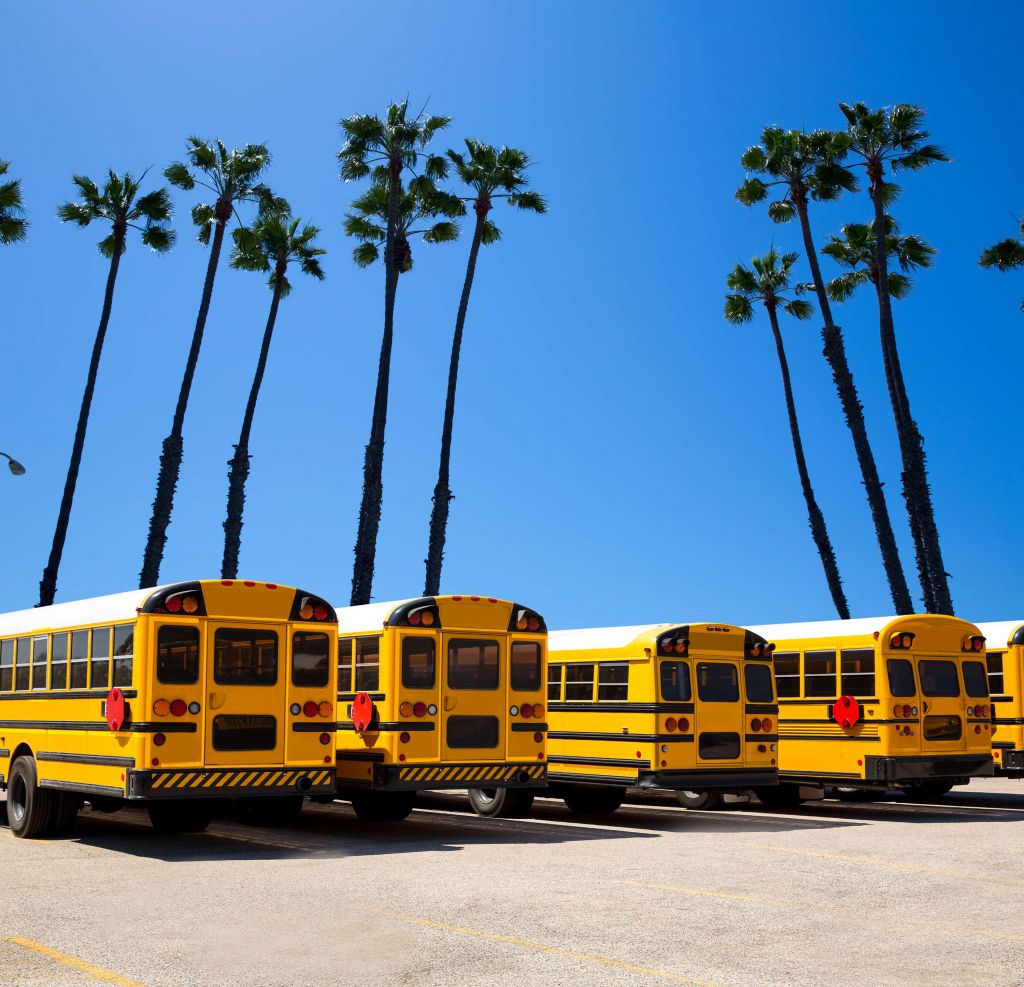 Scuolabus alle palme