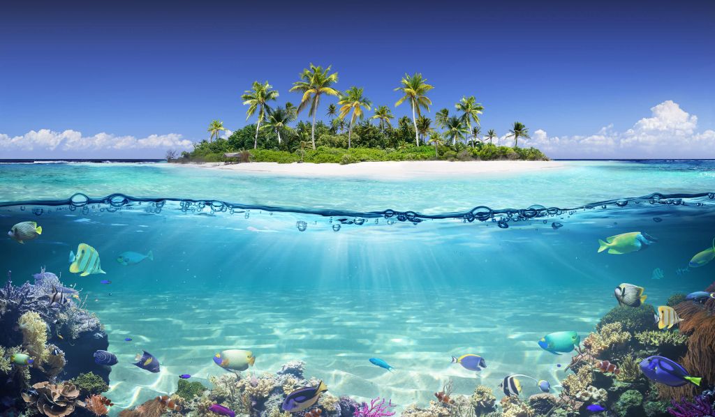 Isola tropicale e barriera corallina