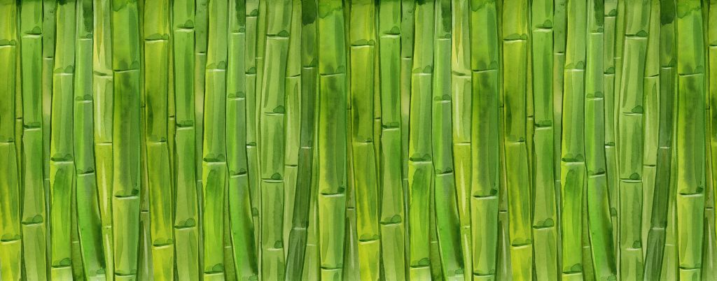 Bambù acquerello