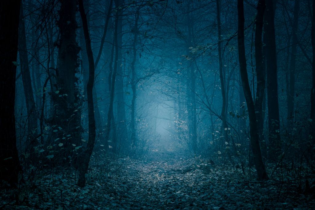 Sentiero della foresta blu