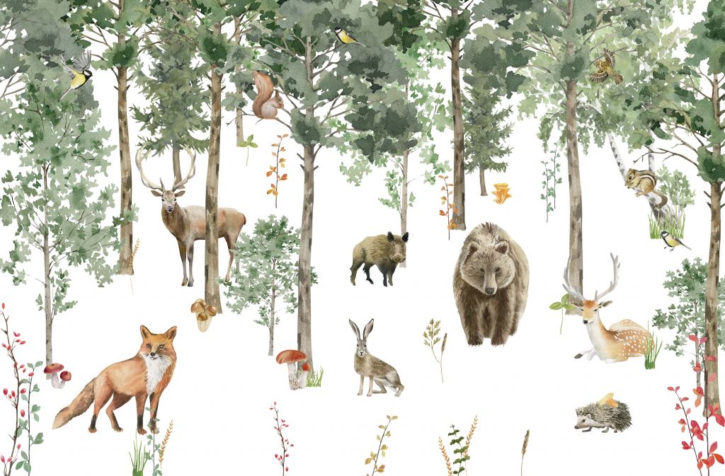 Animali della foresta ad acquerello