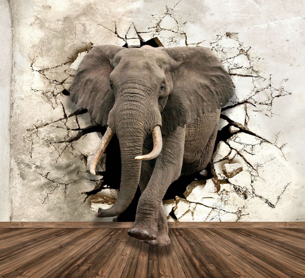 Grande elefante fuori dal muro
