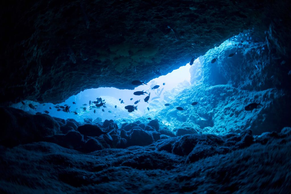 Grotta stretta con pesce