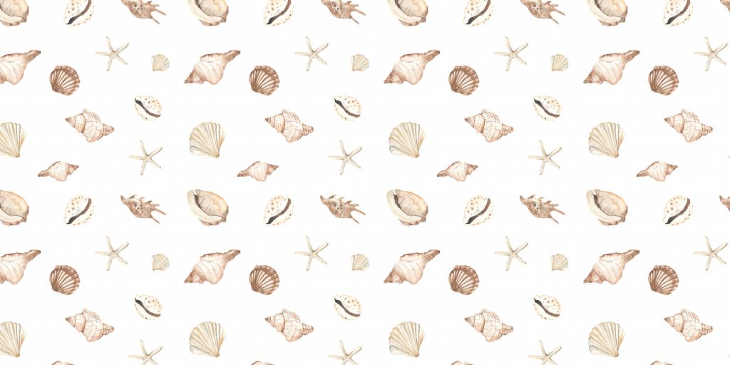 Acquerello conchiglie