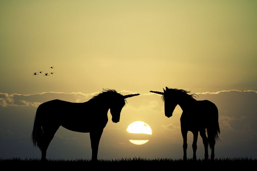 Unicorni al tramonto