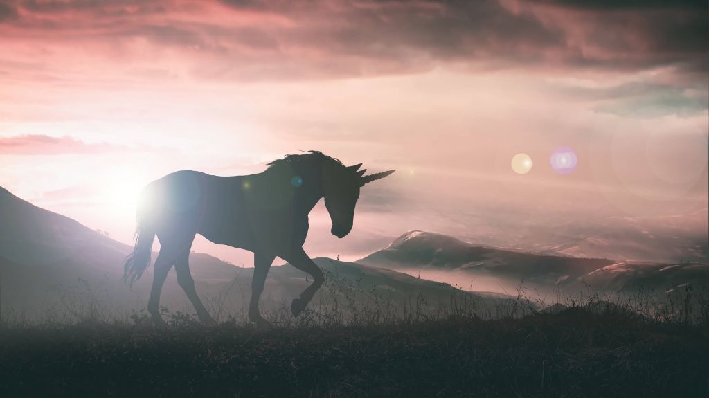 Unicorno al tramonto