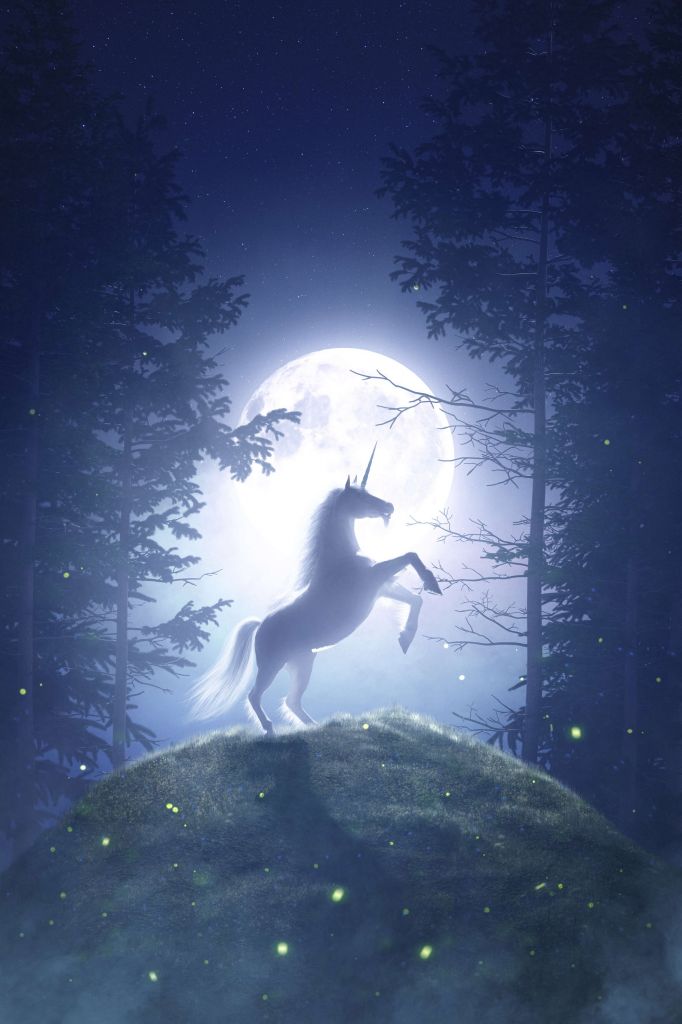 Unicorno alla luna piena